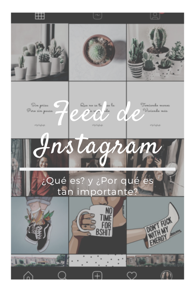 feed de instagram