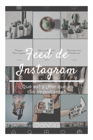 feed de instagram